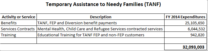 TANF Detailed Purposes